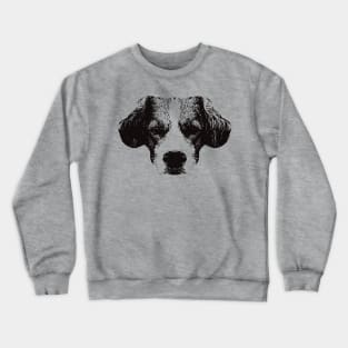 Kooikerhondje gift for Dutch Spaniel Owners Crewneck Sweatshirt